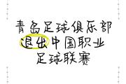 开云体育APP下载-包含球员因伤退出赛季，球队疲于应对人员调整的词条