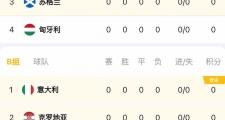 开云体育app-夺目的欧洲杯赛场：队伍实力逐渐显露的简单介绍