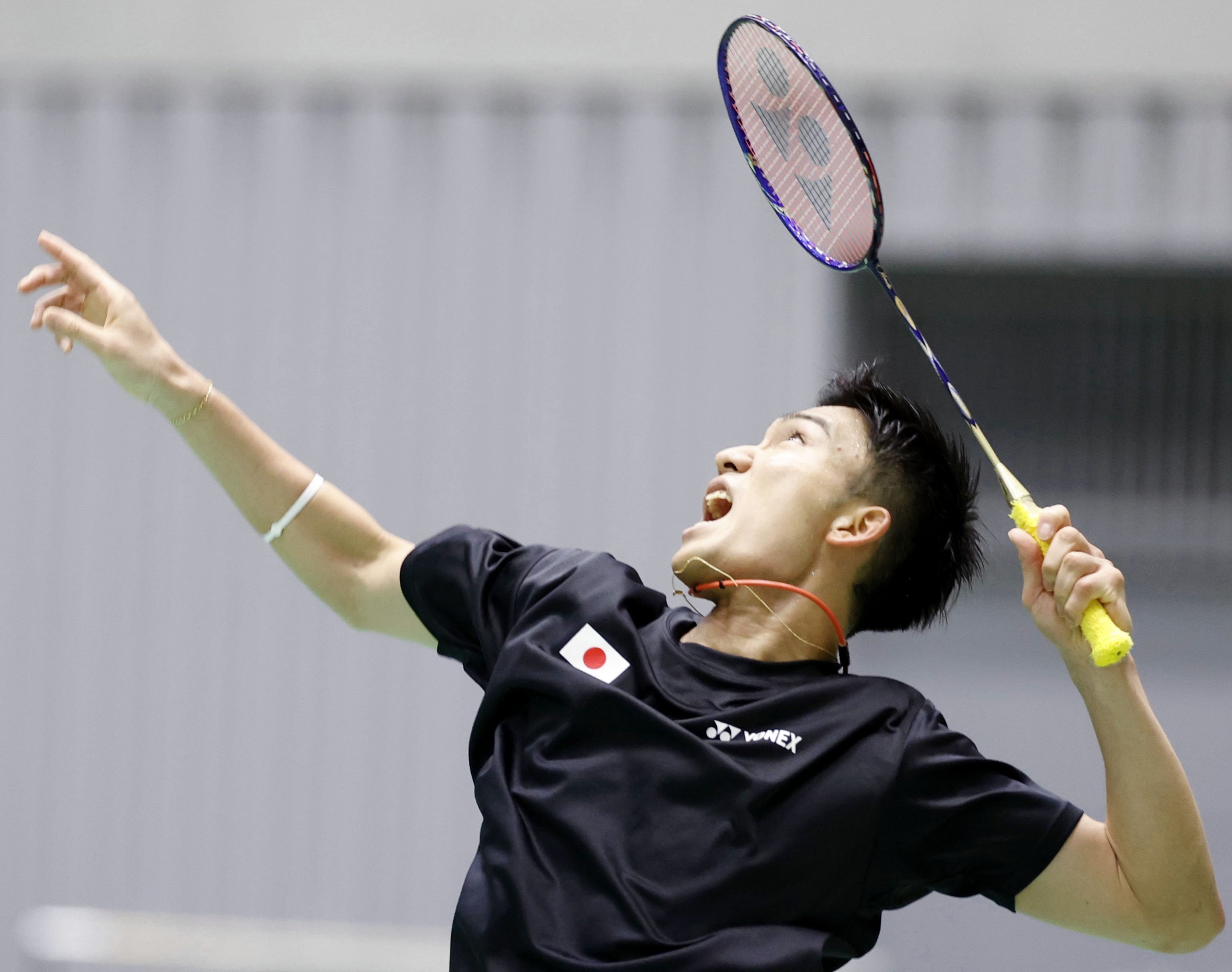 日本羽毛球队血洗法国羽毛球队，桃田贤斗绝境逆转的简单介绍