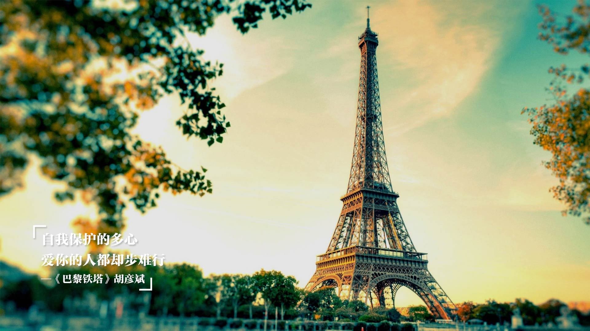 猎鹰的利爪与盾牌的交锋,范弗利特关键先生本色救主