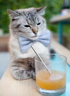 迪亚斯单骑救主,当一个女孩扛起整个国家的重量