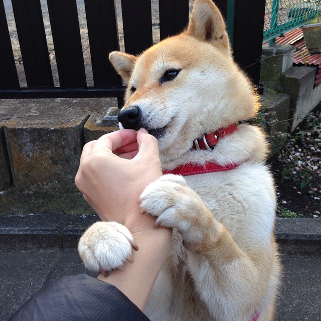 烈焰焚城，太阳踏平凯尔特人，西决生死战谱写传奇