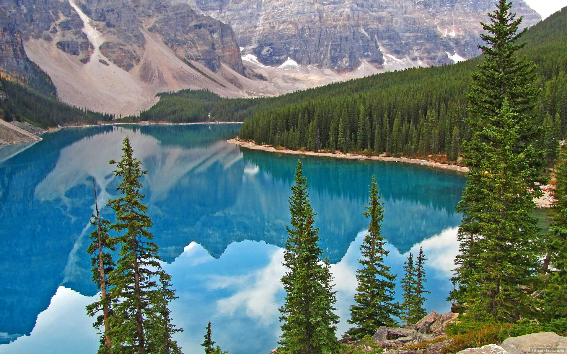 暗夜獠牙,福克斯37分撕碎绿军,开拓者绝境上演惊天逆转