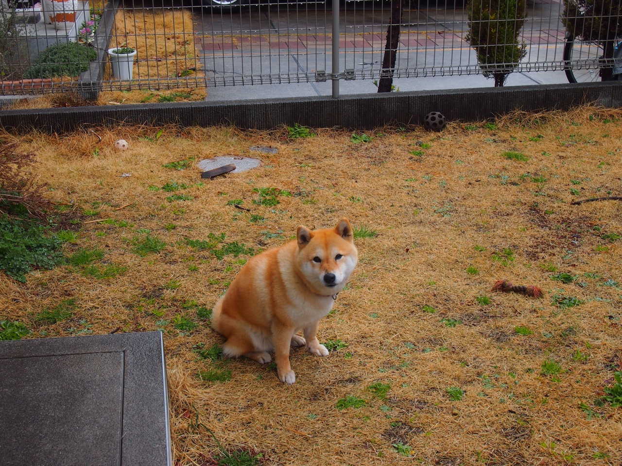 季后赛抢七焦点战，热火51%命中率压垮黄蜂的37%