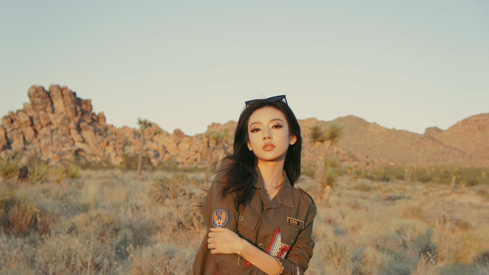 浴血安菲尔德，波兰孤狼戈麦斯与他的生死救赎之战