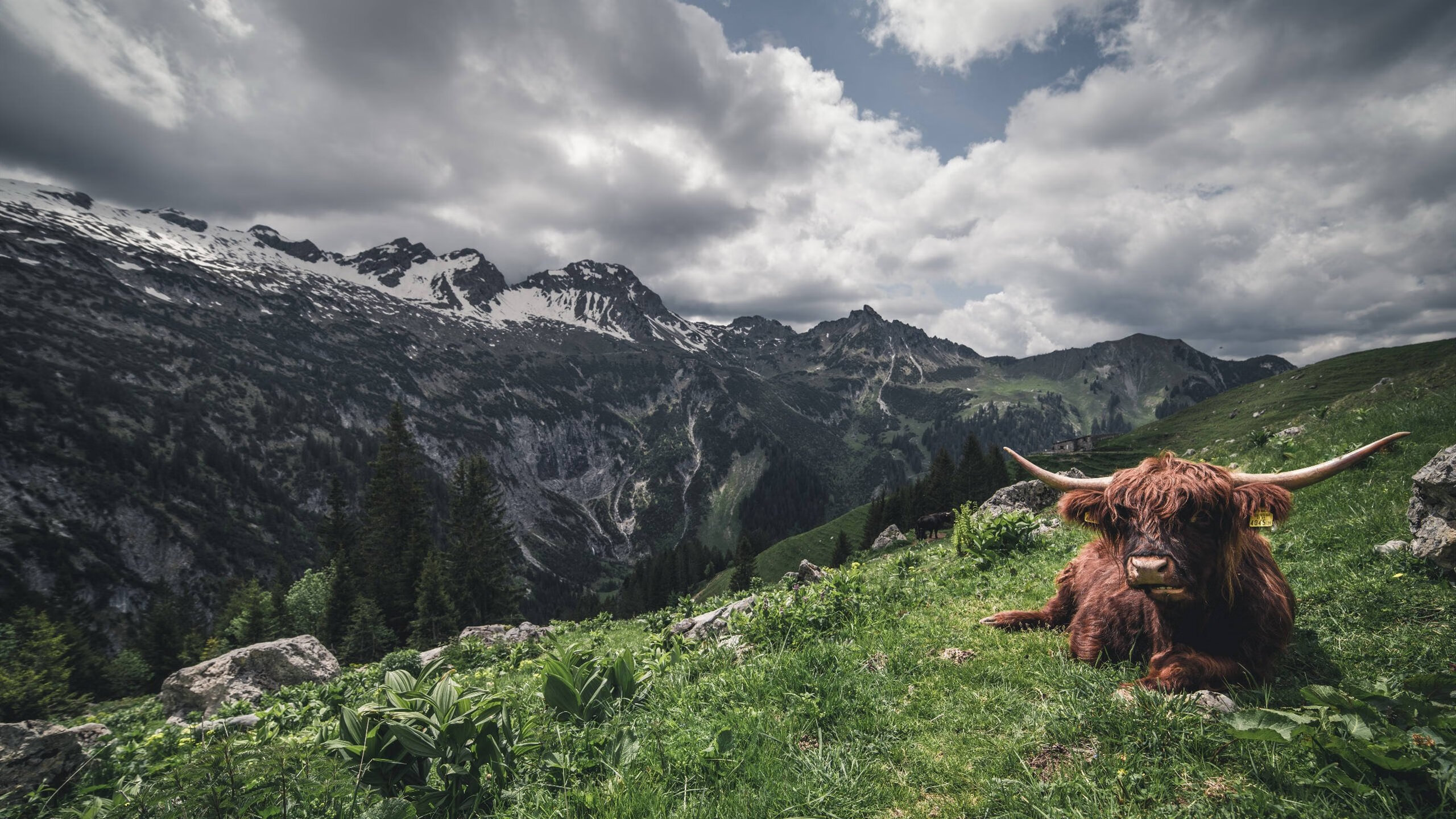 王权交接,当团队铁腕取代孤胆英雄